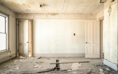 Navigating Development Finance